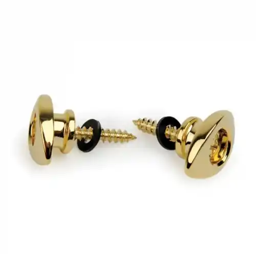 Planet Waves PW-EEP-302 Elliptical end pin GOLD (PAR)