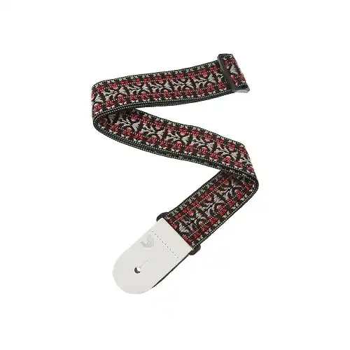 Planet Waves Remen 50G01 HOOTENANNY STYLE 2 Remen za gitaru